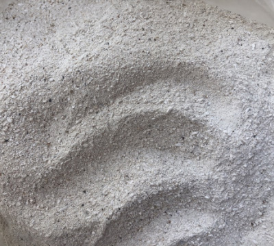 骨粉